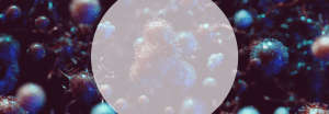 Coronavirus bacteria close-up